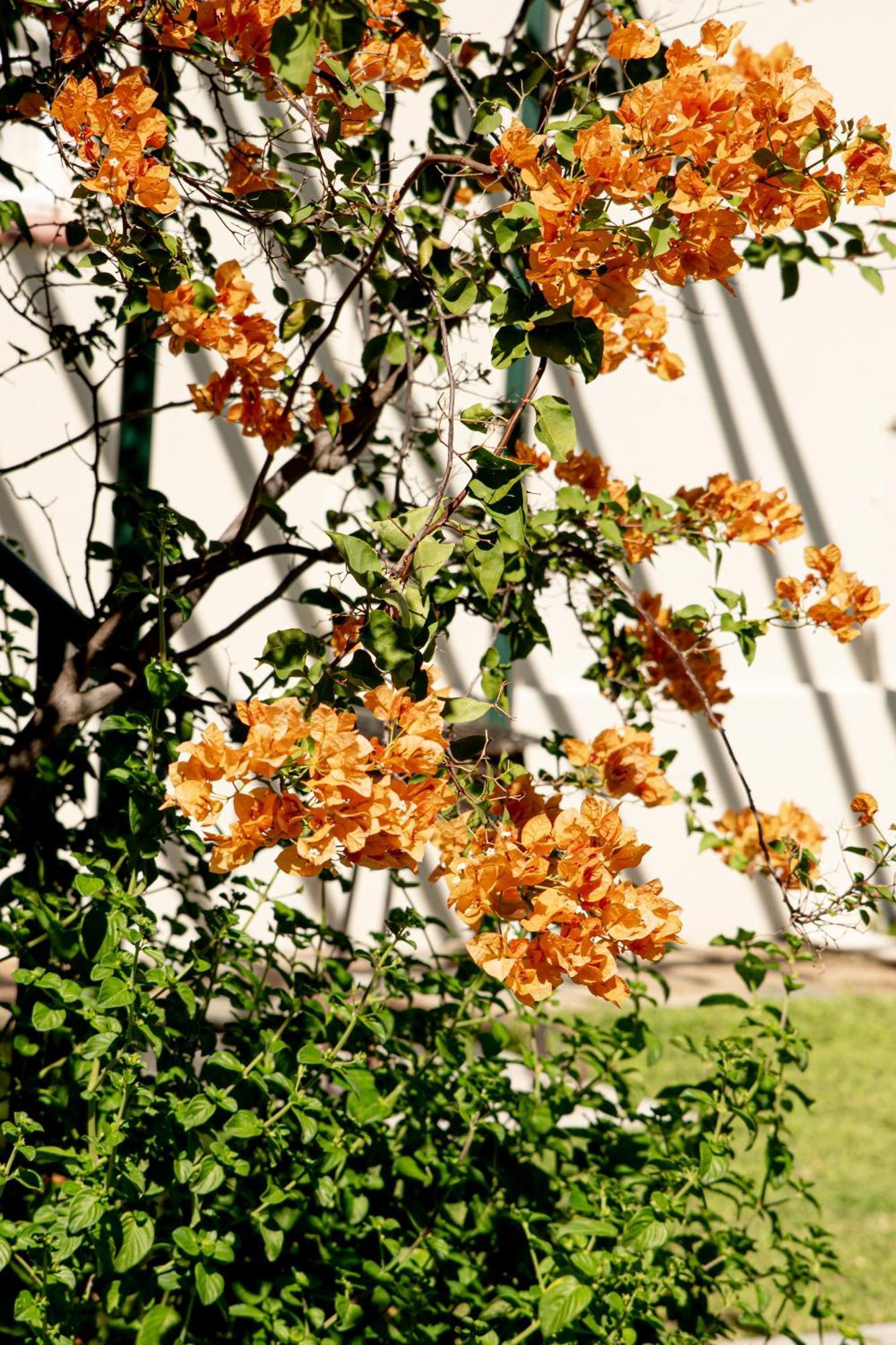 4 Rothman Street B&B Graaff Reinet Ngoại thất bức ảnh
