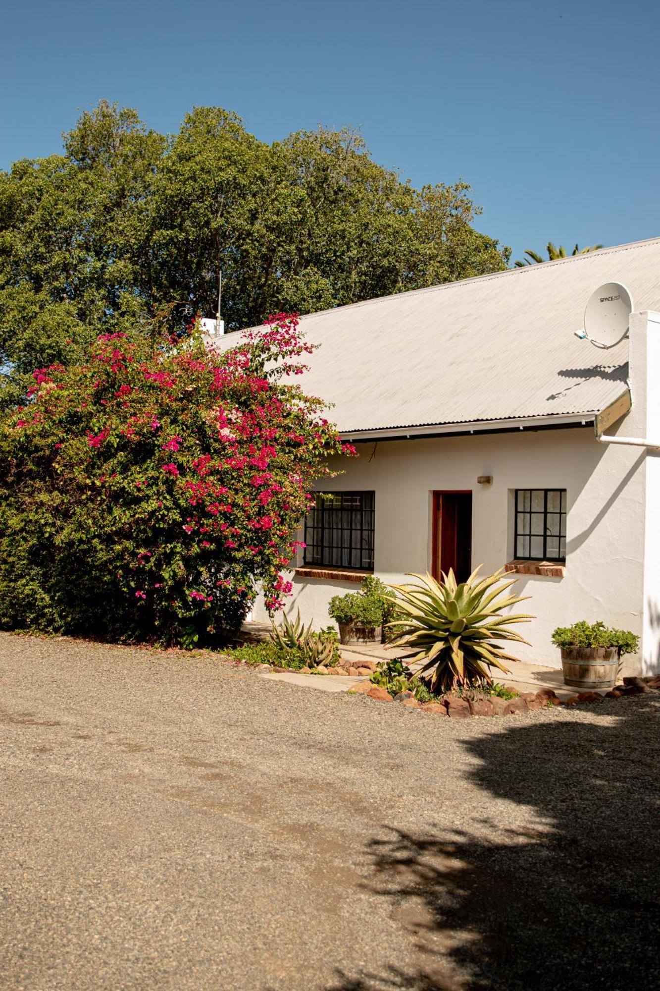 4 Rothman Street B&B Graaff Reinet Ngoại thất bức ảnh